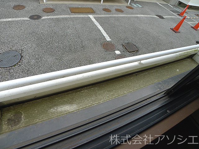 ピラタス　Ⅲ 花台