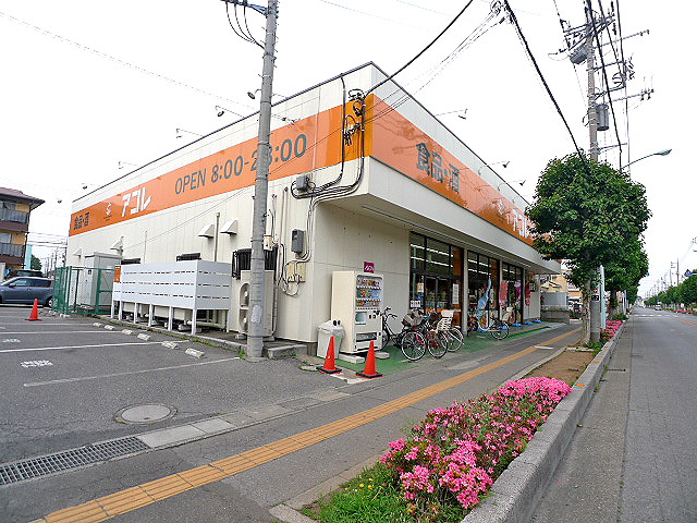 ヒルズ花田弐番館 ｱｺﾚ 越谷花田店