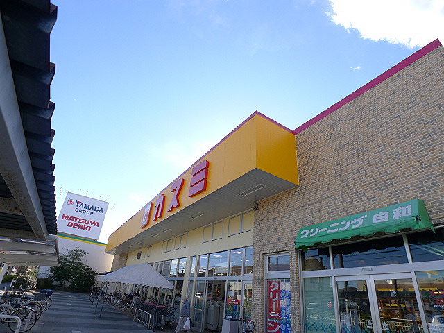 CARRIBEAN APARTMENT ｶｽﾐ東越谷店