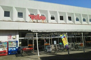 エクシーレ マルヤ
