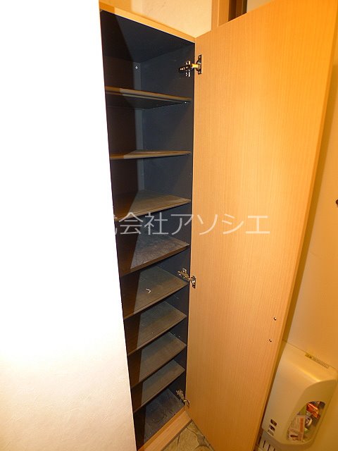 Charmant court MsⅡ シューズボックス