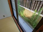 シティハイム松原Ⅱ ベランダ
