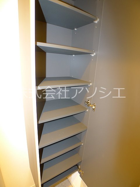SOPHIA HILLS シューズボックス
