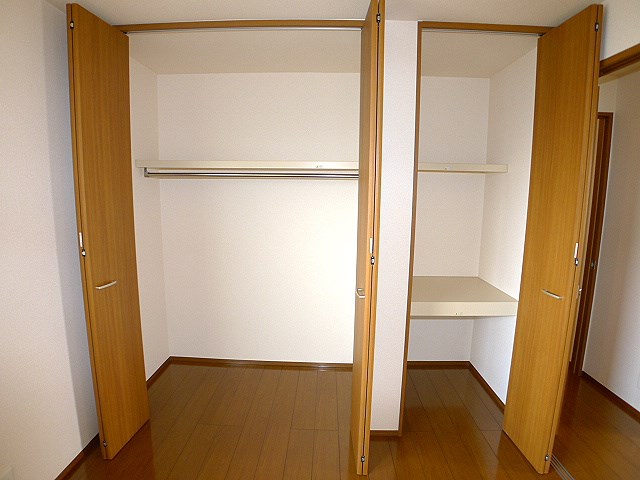 ゼルコバ 収納