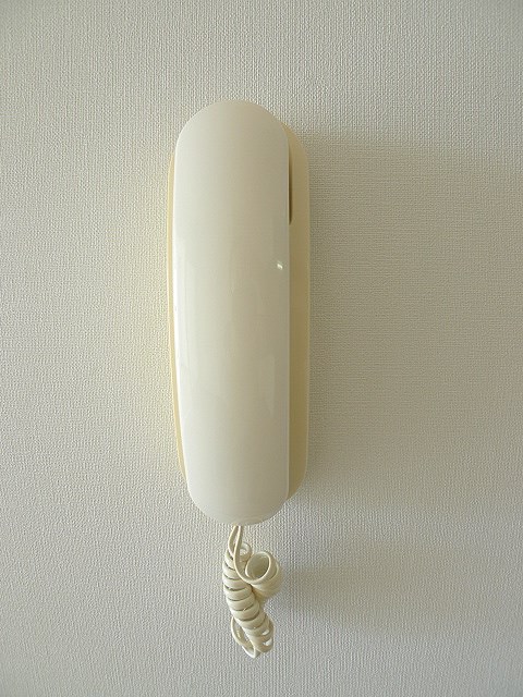ヴィップガーデン セキュリティ