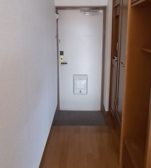 ダイレクトマンションⅠ 玄関