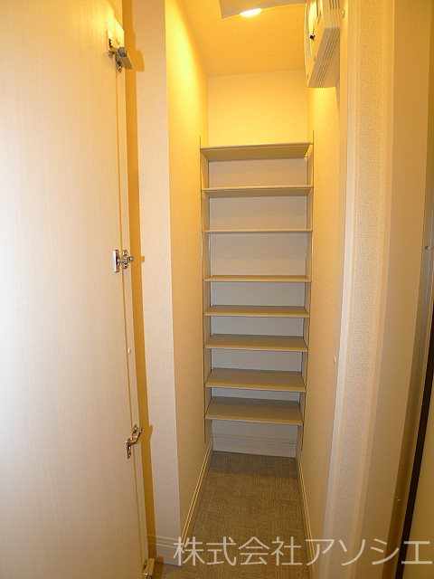 セジュールウィット大池Ⅱ 収納