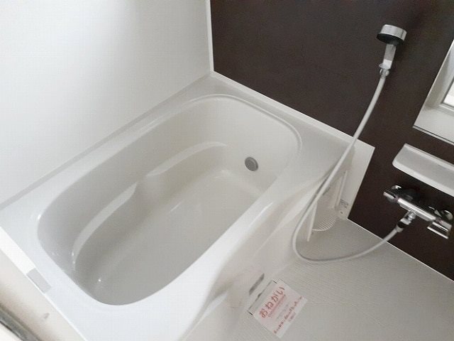 サルート 風呂画像
