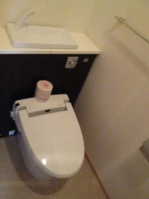 プレ・アビタシオン春日部Ⅲ トイレ