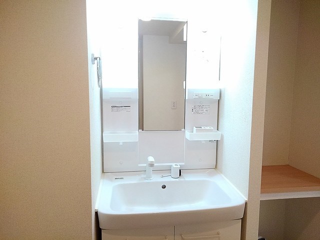 アヴェニューハマノ 洗面所