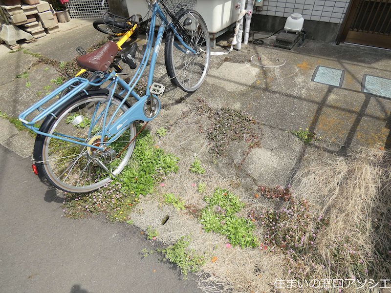 Rフォレストビル Rフォレストビルのご紹介は住まいの窓口アソシエへ