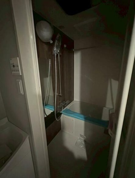 フェリチタ越谷駅前 ※建築中の為現況優先となります。